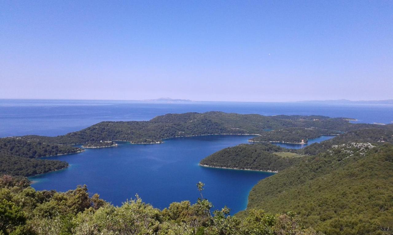 Ferienwohnung Sunny Side Of Mljet Babino Polje Exterior foto